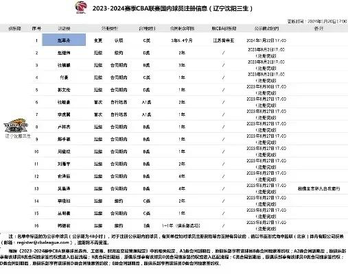 CBA官方售票渠道介绍为什么越来越多人选择线上购票？-第2张图片-www.211178.com_果博福布斯