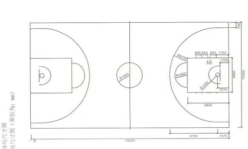 2020最新标准篮球场尺寸清晰图（篮球爱好者必看）