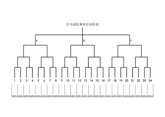 乒乓球比赛分类及数量概述-第3张图片-www.211178.com_果博福布斯