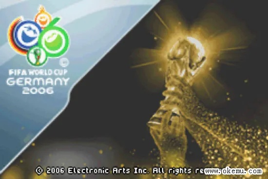 fifa06世界杯注册表 fifa世界杯2006-第3张图片-www.211178.com_果博福布斯